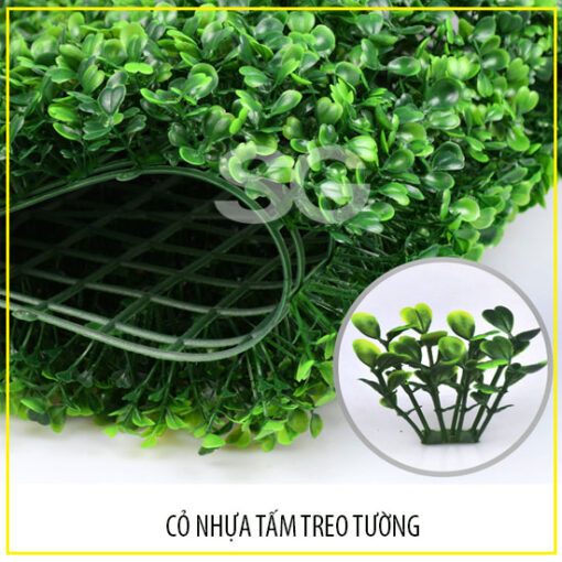cỏ cải xong nhựa tấm treo trường