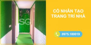 Cỏ nhân tạo trang trí nhà