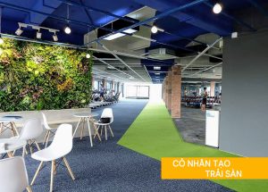 Cỏ nhân tạo trải sàn giá rẻ