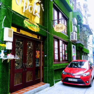 Thảm cỏ nhân tạo dán tường