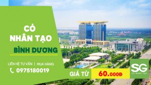 Cỏ nhân tạo ở Bình Dương