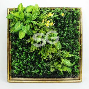 Cỏ nhân tạo trang trí tường ở Nha Trang