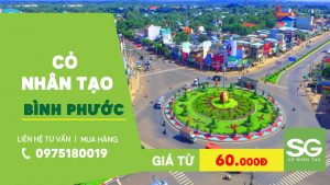 Cỏ nhân tạo ở Bình Phước
