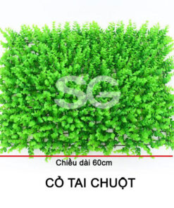 Cỏ tai chuột