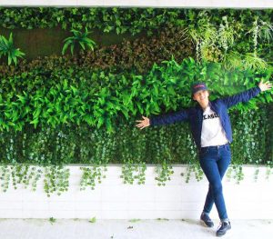 Giá cỏ nhân tạo dán tường