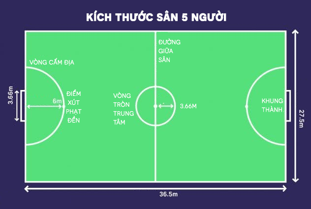 kich thuoc san bong domain authority 5 nguoi