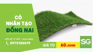 Địa chỉ mua cỏ nhân tạo ở Biên Hòa Đồng Nai