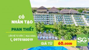 Cỏ nhân tạo Phan Thiết - Bình Thuận