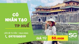 mua bán Cỏ nhân tạo sân vườnở Tp Huế giá rẻ