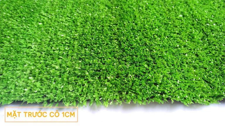Hình mẫu Thảm cỏ nhân tạo sân vườn 1cm - Mặt trước