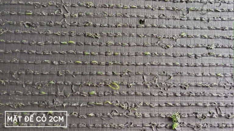 Mặt đế thảm cỏ nhân tạo sân vườn 2cm