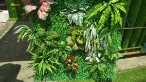 Dán cỏ nhân tạo lên tường