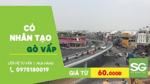 Thảm cỏ nhân tạo Gò Vấp