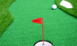 Thảm Putting Golf 2 lỗ tại nhà