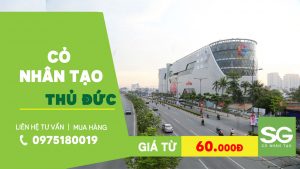 thảm cỏ nhân tạo Thủ Đức