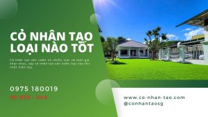 Cỏ nhân tạo sân vườn loại nào tốt nhất hiện nay