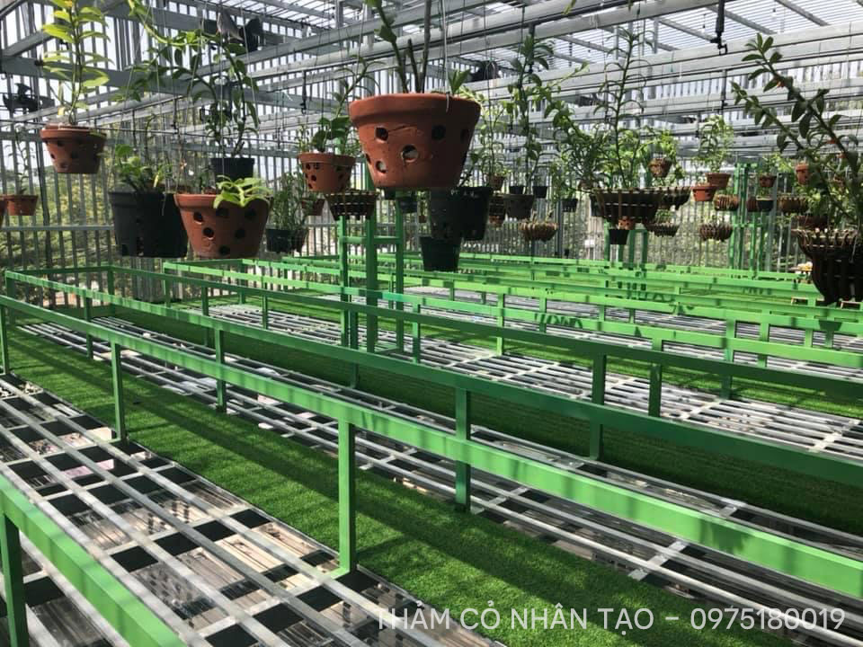 Thảm cỏ nhân tạo trải sàn vườn lan nên dùng 10 Thảm cỏ nhân tạo trải sàn vườn lan