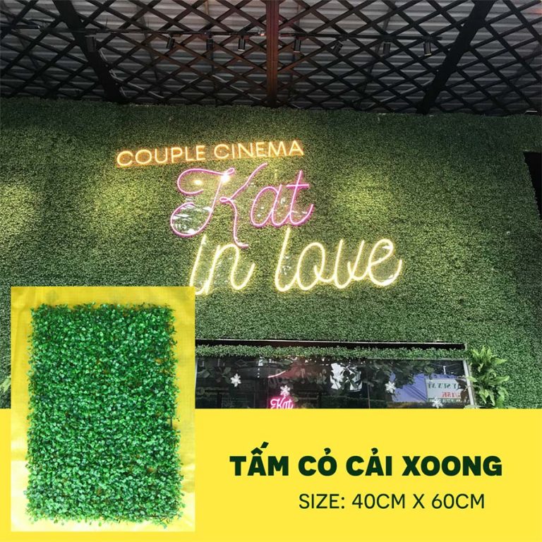 Cỏ cải xoong trang trí tường
