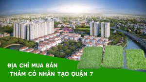 mua thảm cỏ nhân tạo quận 7