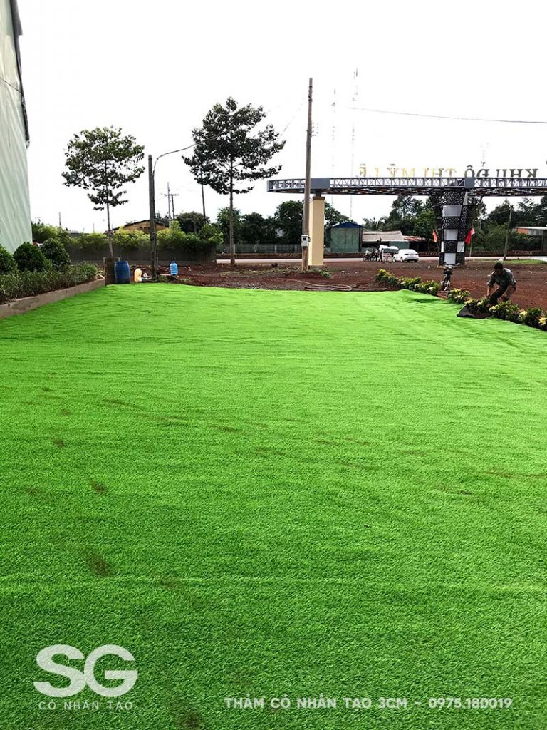 Thi công thảm cỏ nhân tạo 3cm