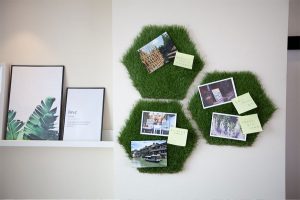 Cỏ nhân tạo trang trí trường nhà đẹp