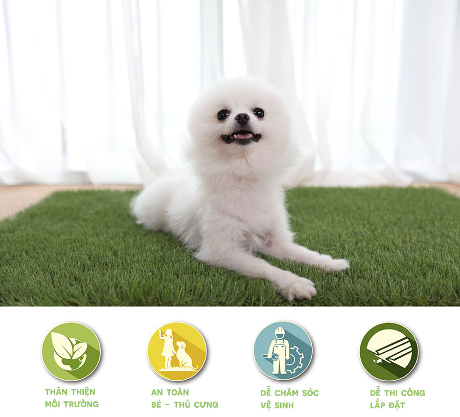 Thảm cỏ nhân tạo cho thú cưng trong nhà