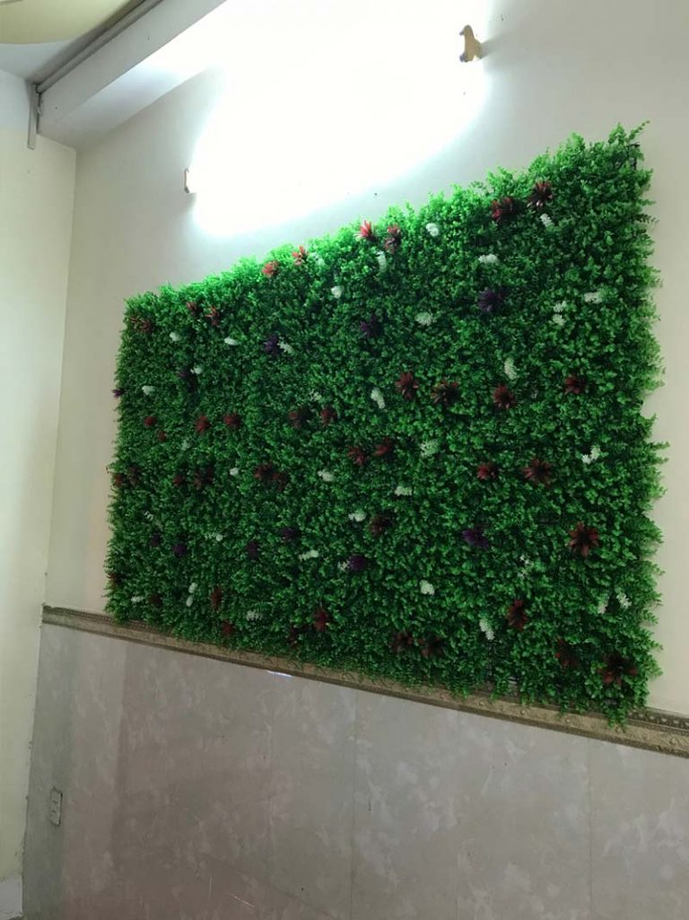 Cỏ tai chuột có điểm hoa lá