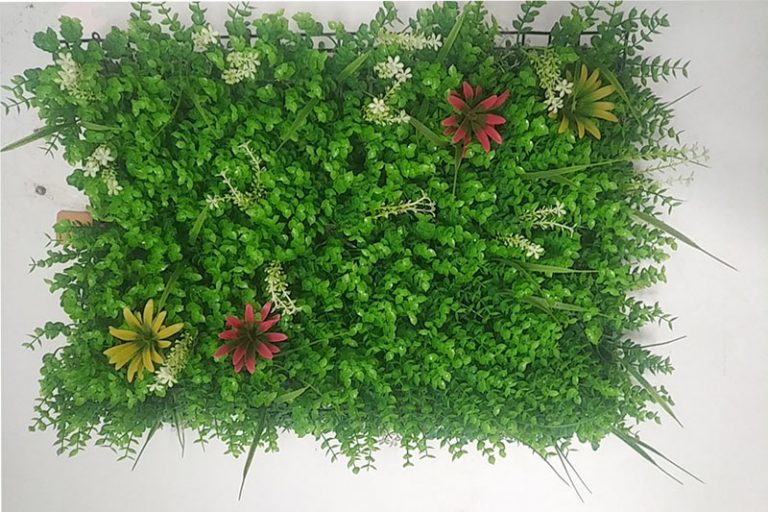 Cỏ tai chuột có điểm hoa lá