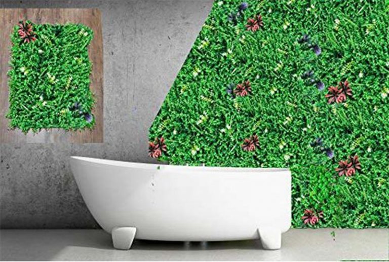 Cỏ tai chuột có điểm hoa lá