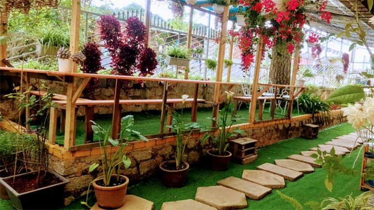 Cỏ nhân tạo Đà Lạt