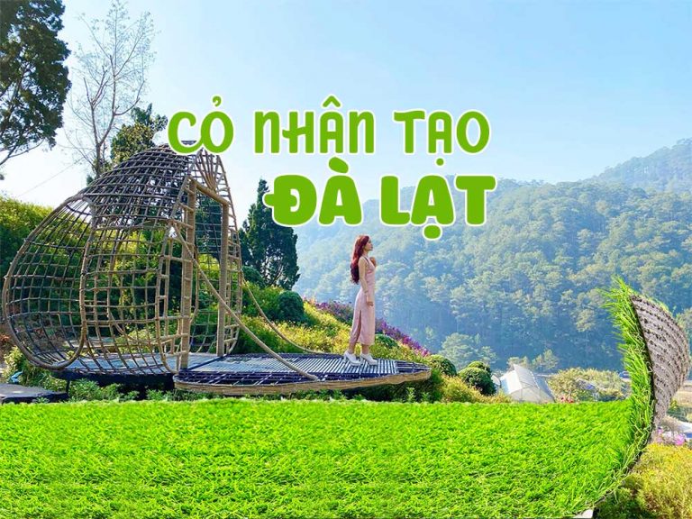 Cỏ nhân tạo Đà Lạt