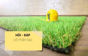 Câu hỏi thường gặp - Cỏ Nhân Tạo