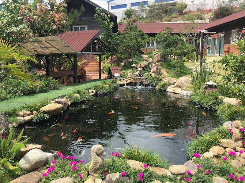 Cỏ nhân tạo trang trí Homestay Villa Coffee 14 Cỏ nhân tạo trang trí Hồ cá Koi