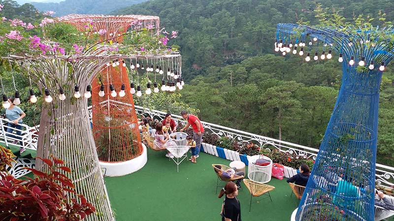 Cỏ nhân tạo trang trí Homestay Villa Coffee 17 Cỏ nhân tạo trang trí Coffee sân vườn