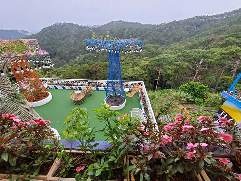Cỏ nhân tạo trang trí Homestay Villa Coffee 19 Cỏ nhân tạo trang trí Coffee sân vườn