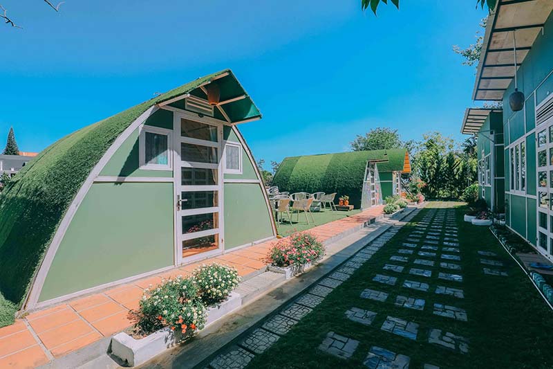 Cỏ nhân tạo trang trí Homestay Villa Coffee 13 Cỏ nhân tạo trang trí Homestay