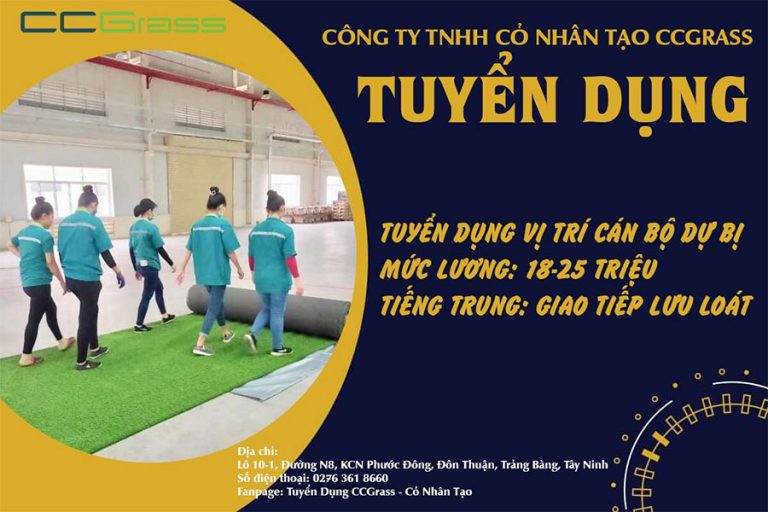Nhà máy cỏ nhân tạo CCGrass ở Việt Nam tuyển dụng