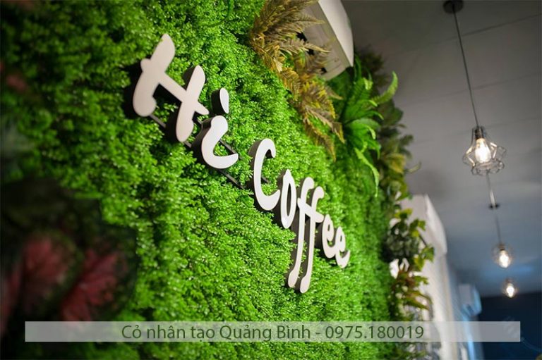 Cỏ nhân tạo Đồng Hới, Quảng Bình