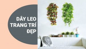 Dây leo trang trí - Dây leo nhựa