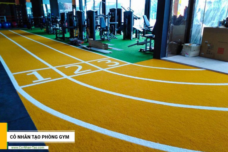 Cỏ nhân tạo phòng gym