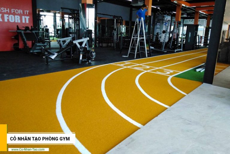 Cỏ nhân tạo phòng gym