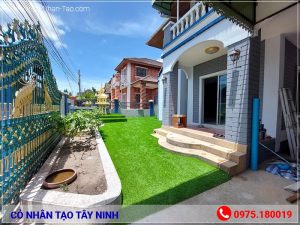Cỏ nhân tạo Tây Ninh