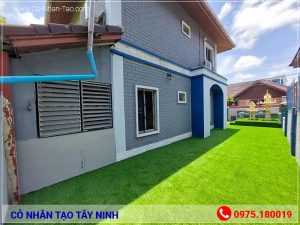 Cỏ nhân tạo Tây Ninh