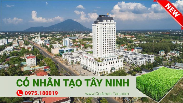 Cỏ nhân tạo Tây Ninh