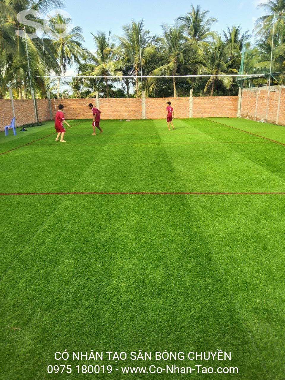 Cỏ nhân tạo sân bóng chuyền