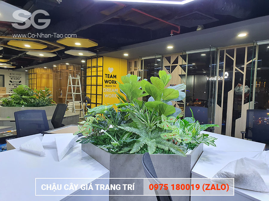 Cây nhựa trang trí