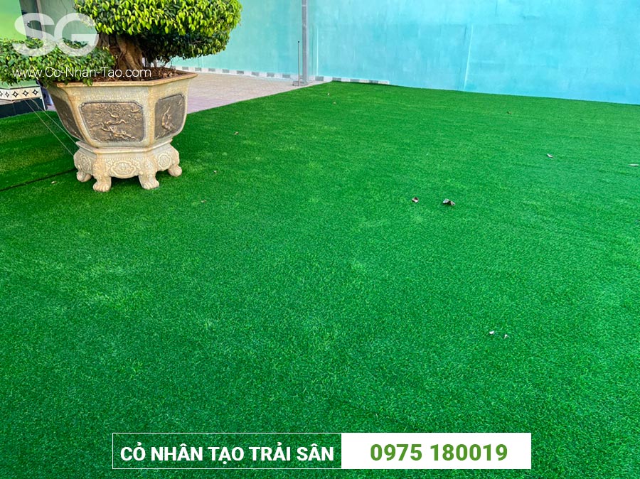 Cỏ nhân tạo trải sân nhà