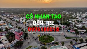 Cỏ nhân tạo Bến Tre