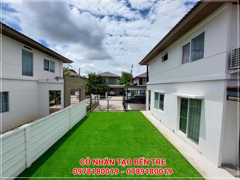Cỏ nhân tạo Bến Tre