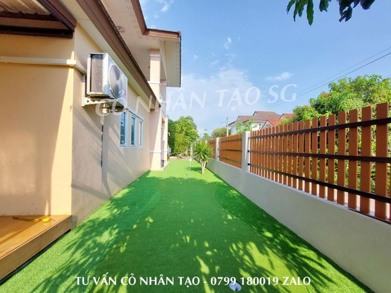 Cỏ nhân tạo trải sân vườn đẹp